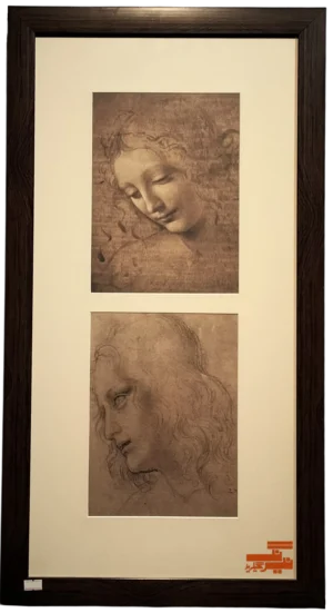 leonardo-artwork-print-for-sale